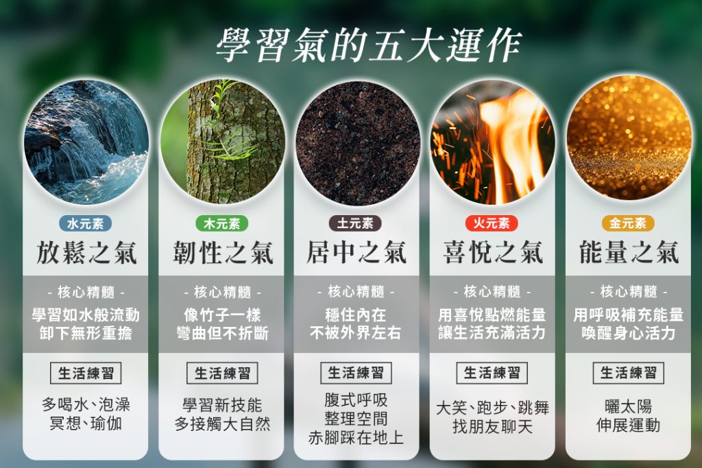 氣的五大法則：掌握你最渴望的生命狀態