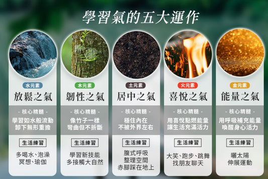 氣的五大法則：掌握你最渴望的生命狀態