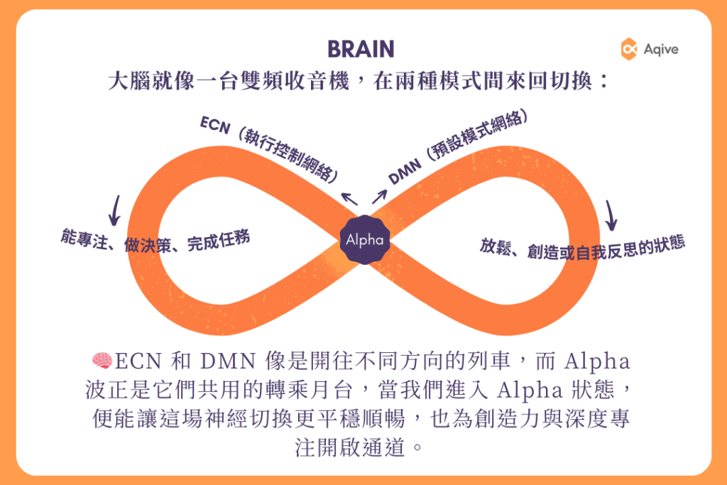 Alpha 心流：專注的腦內環境進入最佳狀態