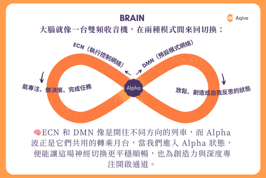 Alpha 心流：專注的腦內環境進入最佳狀態