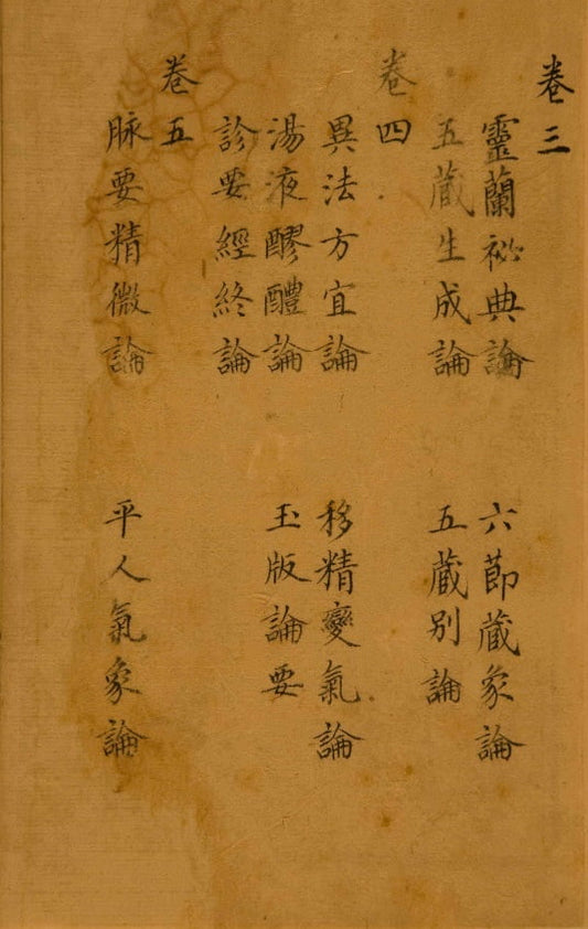 經絡與穴道的實質