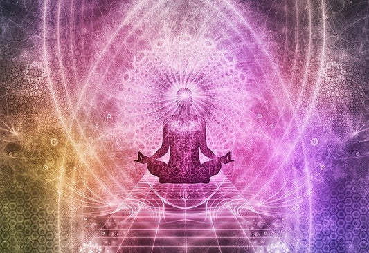 研究特異功能的北大的教務處長 – 陳守良教授